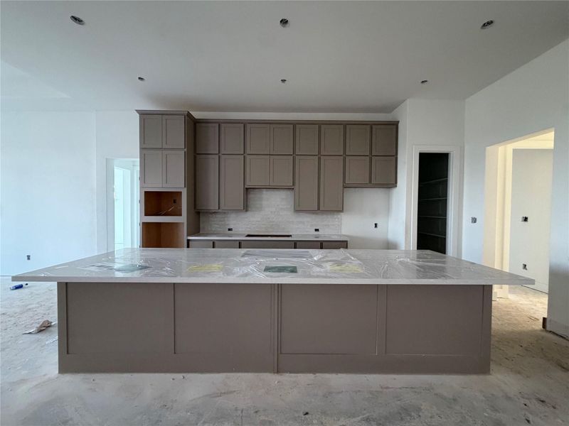 Light & Bright Open Concept Kitchen