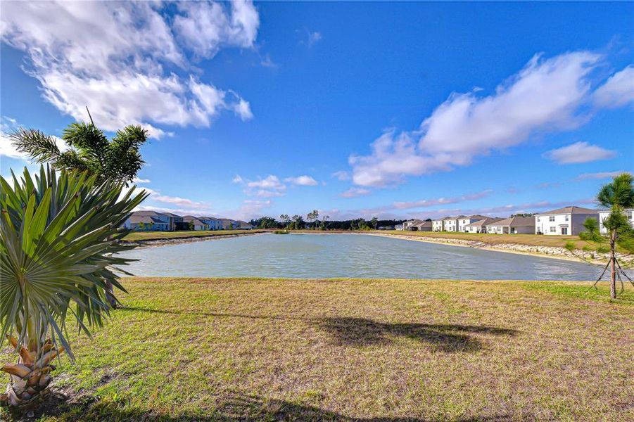 Natural landscape and outdoor views near in Zephyrhills (Image 69). Natural landscape and outdoor views near in Zephyrhills (Image 69).