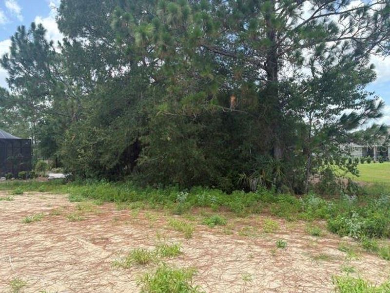 Natural landscape and outdoor views near in Dunnellon (Image 11). Natural landscape and outdoor views near in Dunnellon (Image 11).