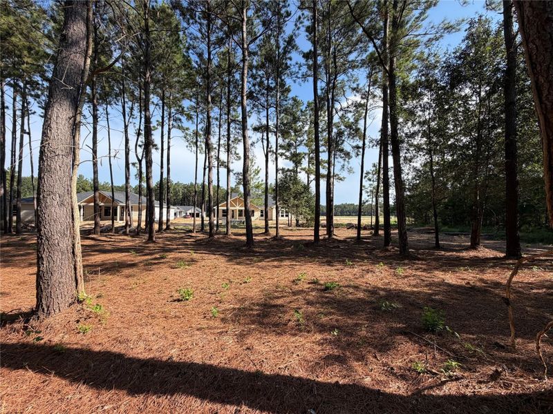 Natural landscape and outdoor views near Pine Rock South in Conroe (Image 34). Natural landscape and outdoor views near Pine Rock South in Conroe (Image 34).