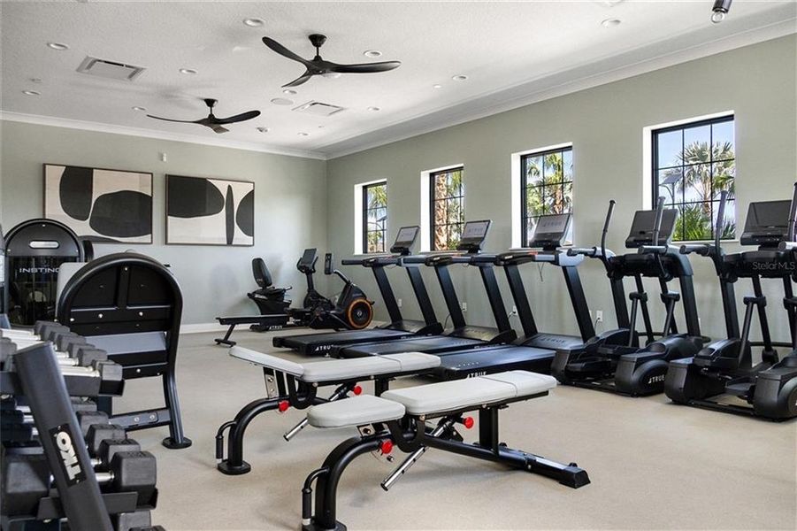 Community amenities in Prosperity Lakes, Parrish (Image 65). Community amenities in Prosperity Lakes, Parrish (Image 65).