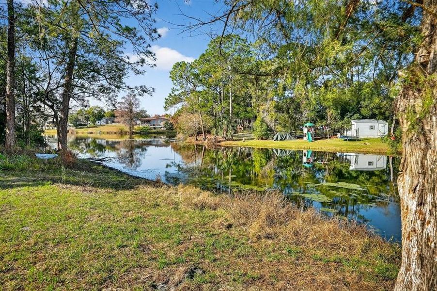 Natural landscape and outdoor views near  in Deltona (Image 30).