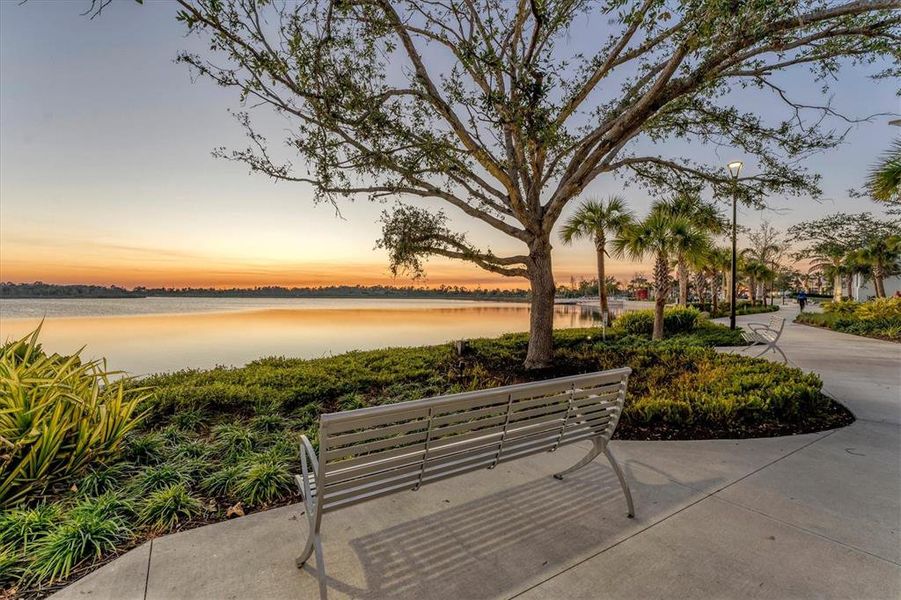 Natural landscape and outdoor views near  in Venice (Image 42).