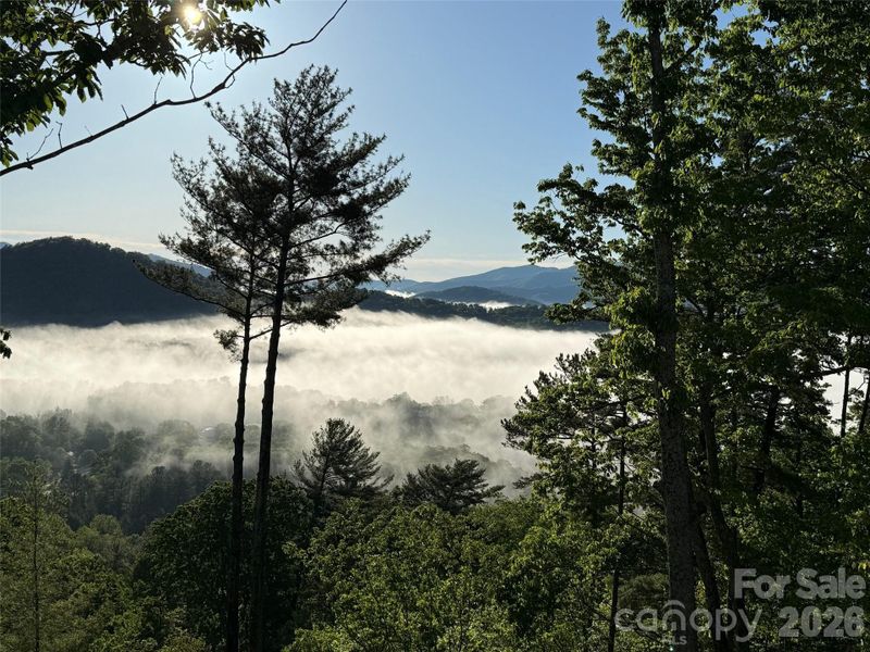 Natural landscape and outdoor views near  in Asheville (Image 38).