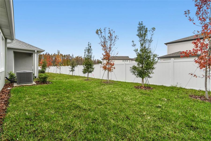 Exterior details and patio area of a home in Chapel Crossings, Wesley Chapel (Image 25).