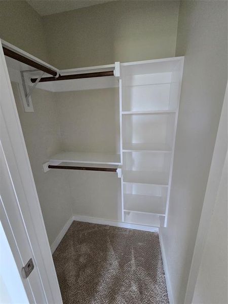 Spacious closet with carpet floors