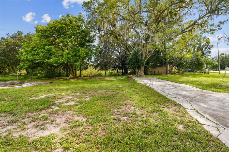 Natural landscape and outdoor views near  in New Port Richey (Image 8).