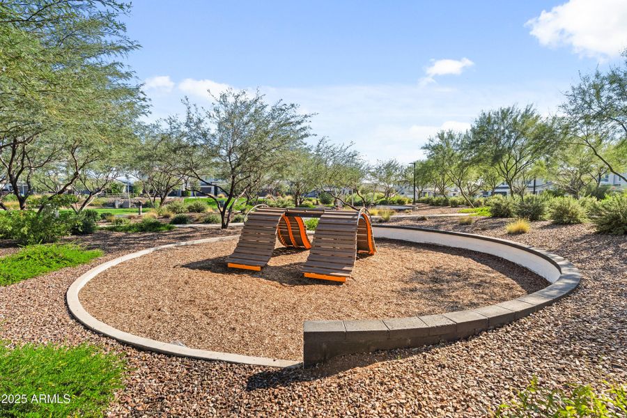 Community Area Community Area