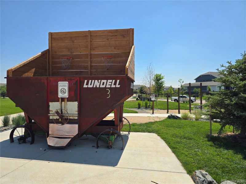 Community basketball setup