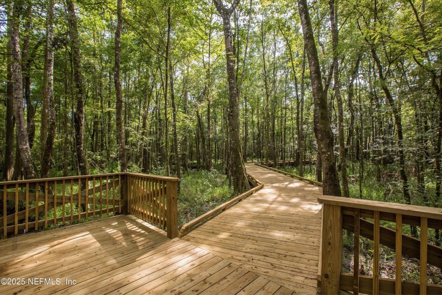 Natural landscape and outdoor views near Shearwater in St. Augustine (Image 63).