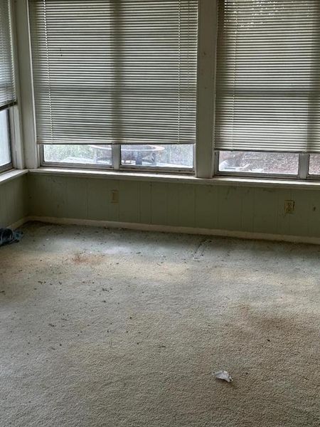 Carpeted spare room with plenty of natural light