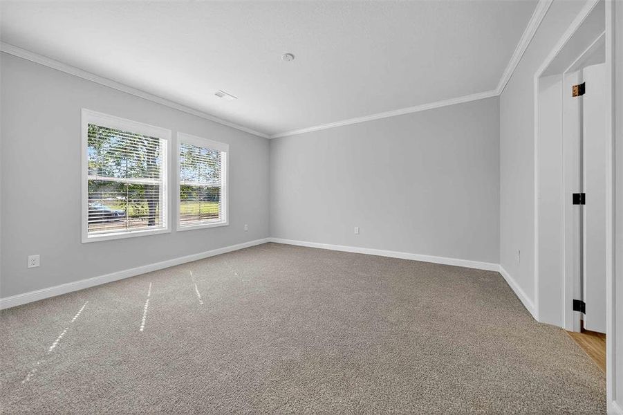 Spare room featuring crown molding and light colored carpet Spare room featuring crown molding and light colored carpet
