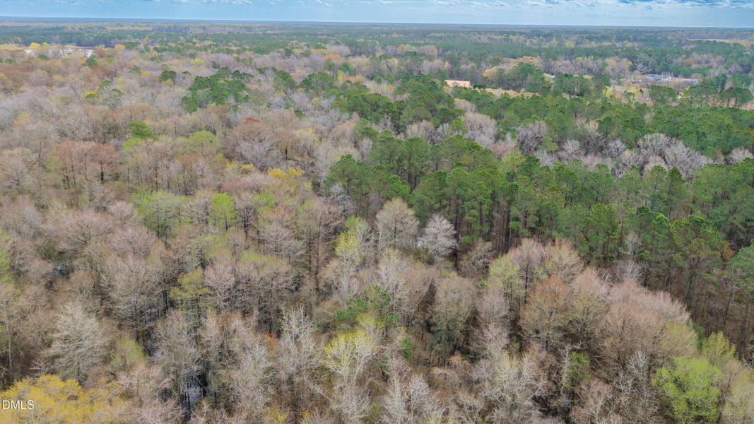 55-DJI_20260315235036_0084_D-HDR 55-DJI_20260315235036_0084_D-HDR