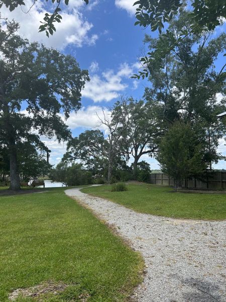 Natural landscape and outdoor views near Church Creek Landing in Charleston (Image 6). Natural landscape and outdoor views near Church Creek Landing in Charleston (Image 6).