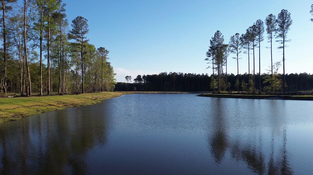 Natural landscape and outdoor views near Summerwind Crossing at Lakes of Cane Bay in Summerville (Image 40).