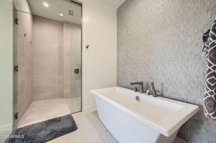 15 Primary Walk-in Shower and Tub