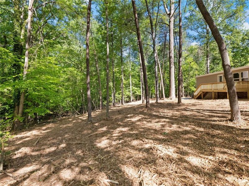 Natural landscape and outdoor views near  in Gainesville (Image 37).