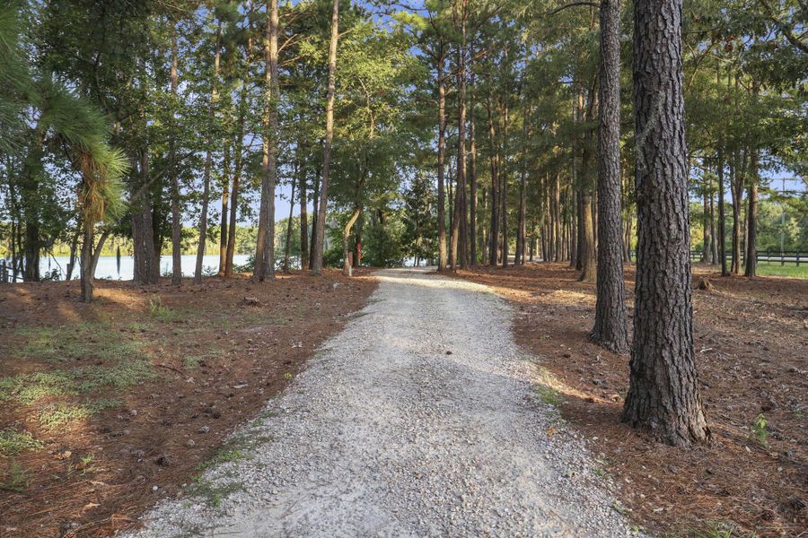Natural landscape and outdoor views near  in Summerville (Image 73).