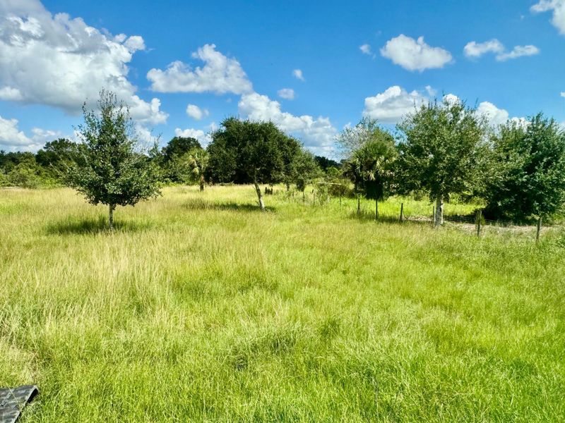 Natural landscape and outdoor views near  in Okeechobee (Image 16).