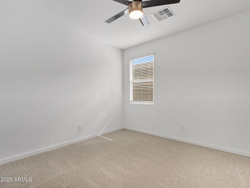 30-web-or-mls-Bee-30 30-web-or-mls-Bee-30