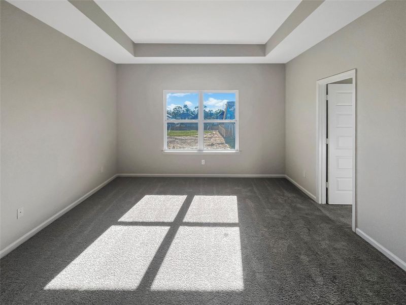 The Oriole II- Primary Suite with Tray Ceiling