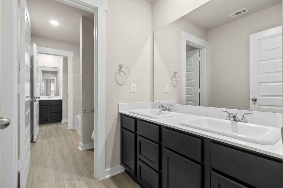 Tupelo II Representative Photography* Tupelo II Representative Photography*