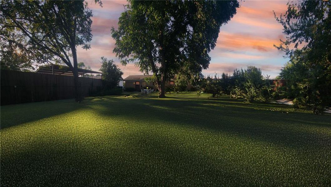 Massive backyard Massive backyard