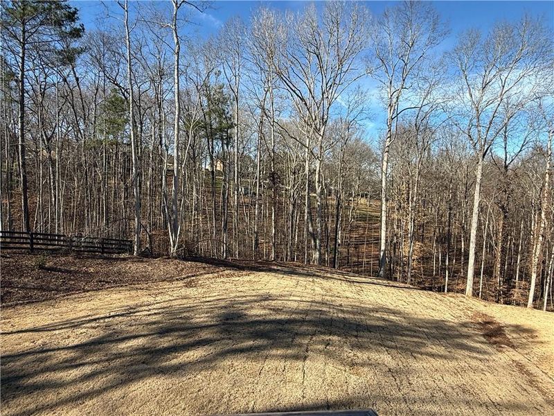 Exterior details and patio area of a home in River Rock, Ball Ground (Image 27).