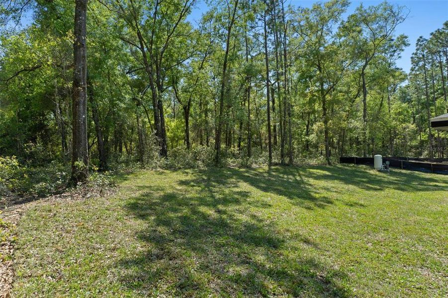 Natural landscape and outdoor views near  in Inverness (Image 44).