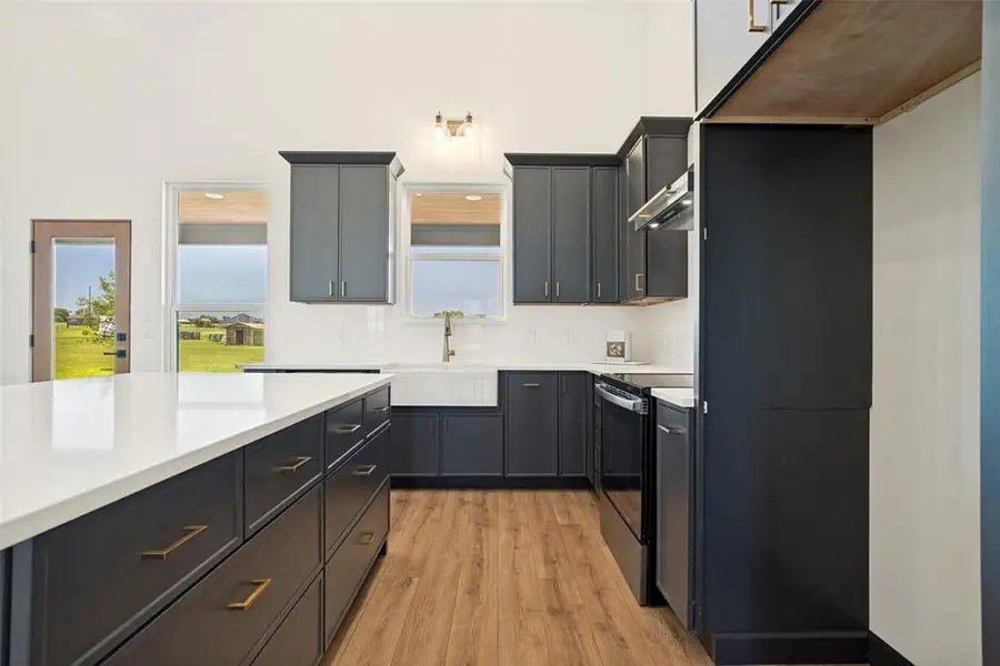 Modern kitchen featuring dark cabinetry, white countertops, wood-finish flooring, a farmhouse sink, and stainless steel appliances