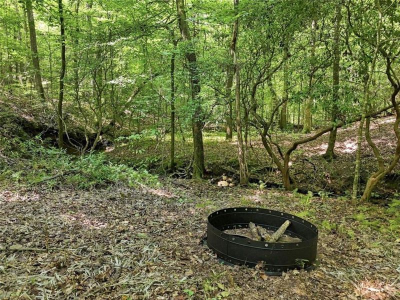 Natural landscape and outdoor views near  in Talking Rock (Image 44).