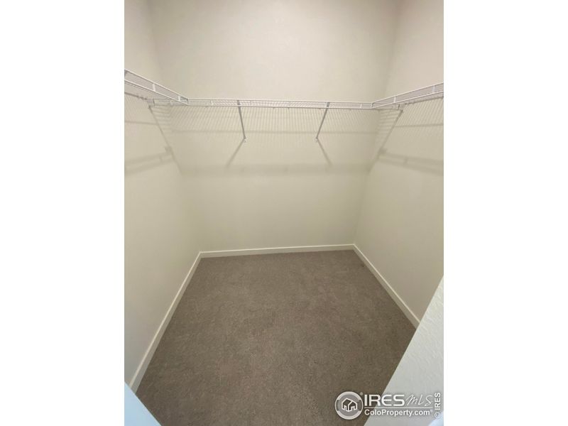 Walk-in Closet