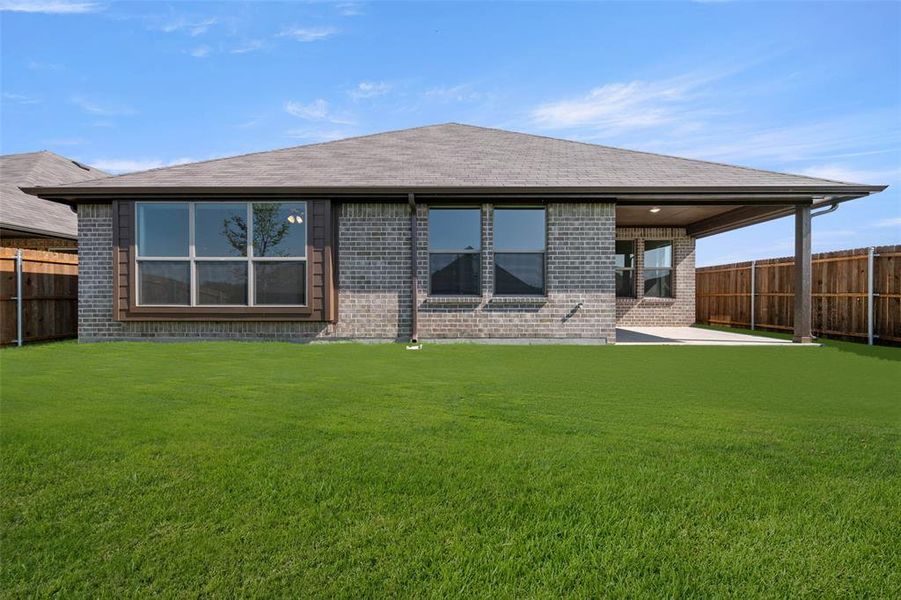 4537 Aralia- Back-2 4537 Aralia- Back-2