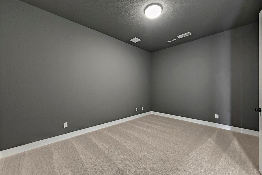 Entertainment Room