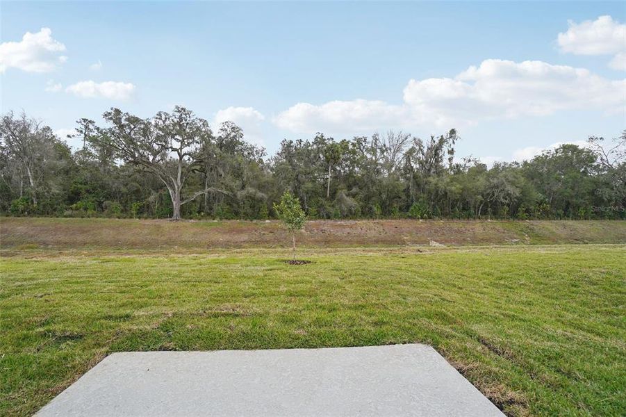 Natural landscape and outdoor views near Leyland Preserve - Classic Series in Brooksville (Image 41).