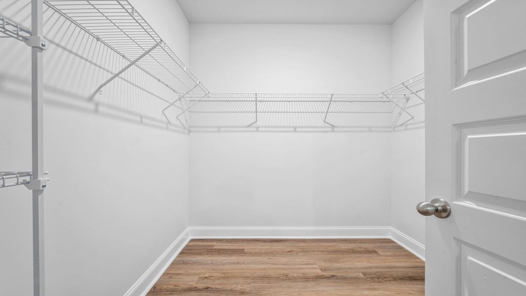 Spacious, unfurnished interior of a new home in The Groves at Bees Creek, Ridgeland (Image 20).