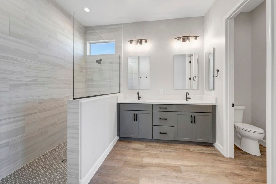 Owner's Bath