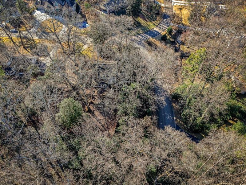 Natural landscape and outdoor views near  in Atlanta (Image 3).