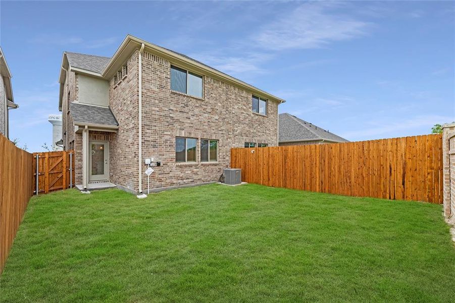 1064 Happy Holly - Back -New 1064 Happy Holly - Back -New