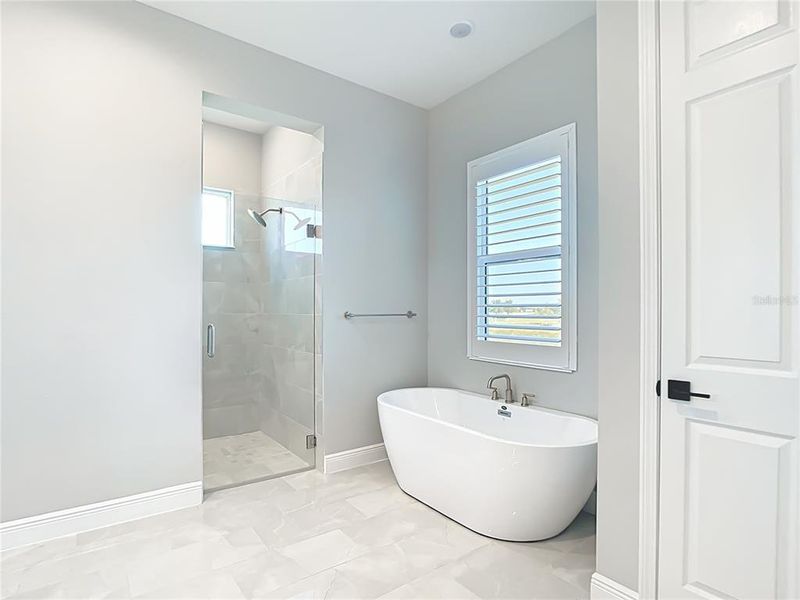 Furnished interior view inside a new home in Hampton Lakes, Sarasota (Image 40). Furnished interior view inside a new home in Hampton Lakes, Sarasota (Image 40).