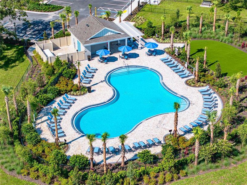 Community amenities in Palm Wind, Hudson (Image 32).