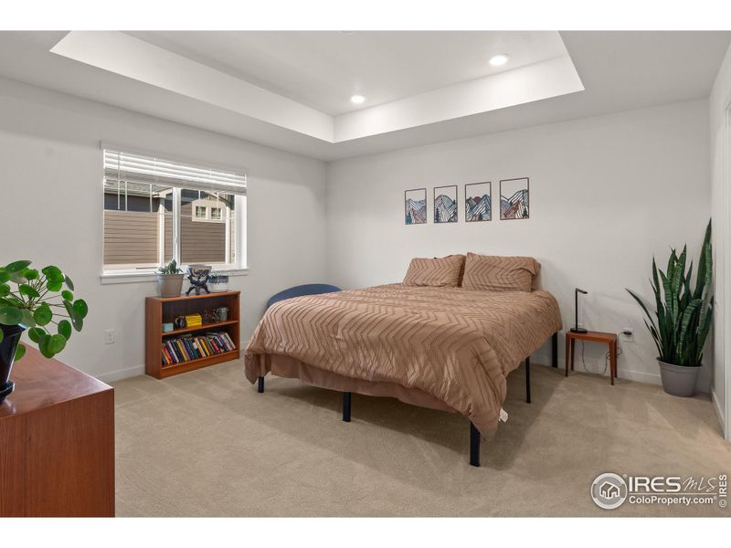 Large Primary Bedroom