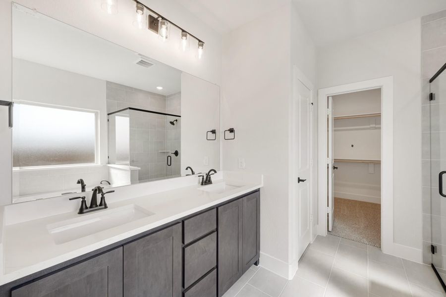 Master bathroom with double vanity, dark cabinets, white countertops, walk-in shower, and access to walk-in closet