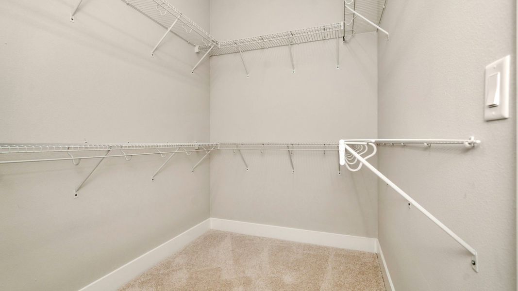 The Walk-In Closet