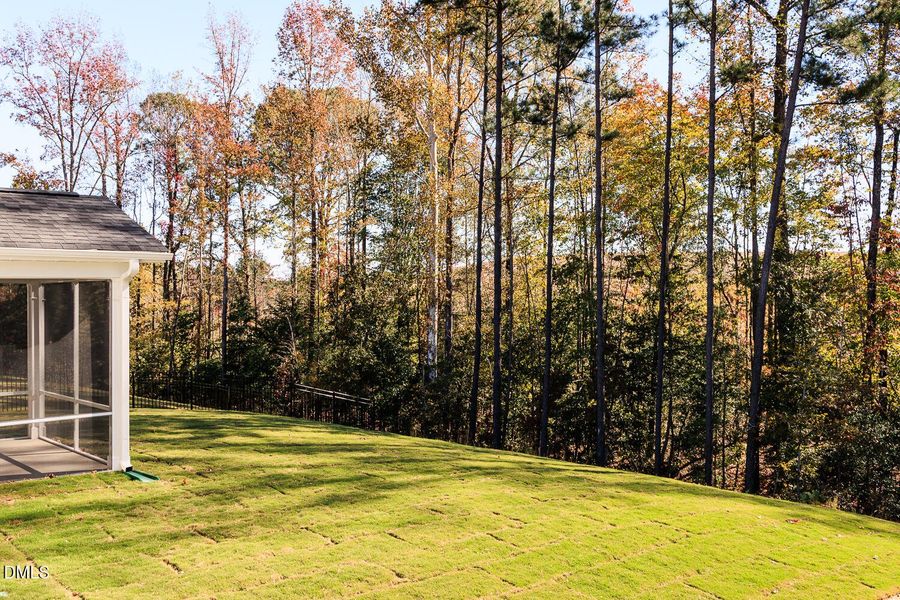 #119-PCK-Shenadoah (7) (2)