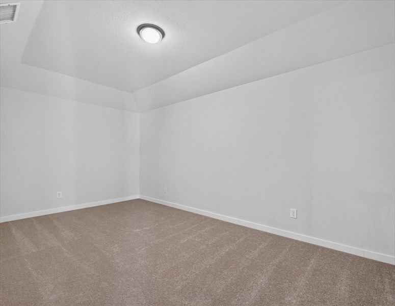 Entertainment Room