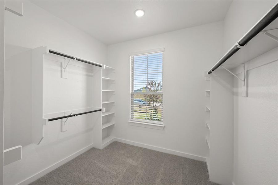 20_8776 Treeline- Primary SUite-6