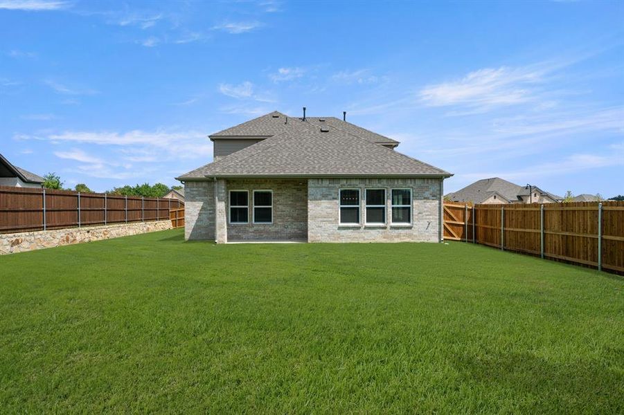 620 Red Maple- Back-2