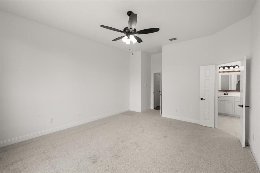 7725 Sweet Sorghum- Primary Suite-2