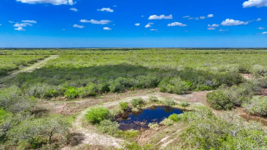 Natural landscape and outdoor views near  in Alice (Image 44).